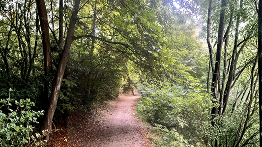 Long-Distance Hiking and Pilgrimage: What Every Packing List Is Missing